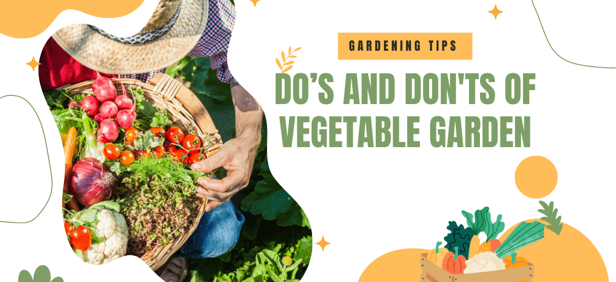 Do’s and Don’ts of Vegetable Garden