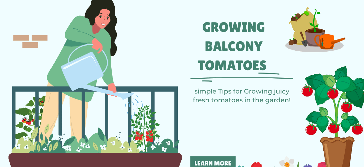 Balcony Tomatoes Gardening: Tips for Growing Fresh and Flavorful Tomatoes in Small Spaces