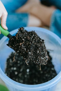 Soil rich in organic matter