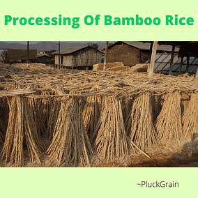 processing of bamboo rice