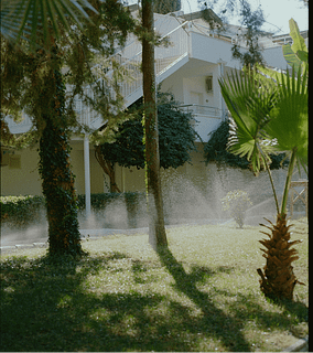 Watering Lawn Near Trees