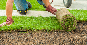 how to fertilize lawn