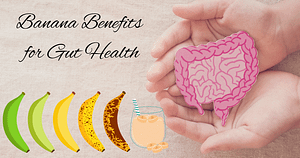 Banana Benefits for Gut Health