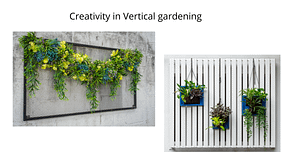 creativity in Outdoor Vertical Garden Plants