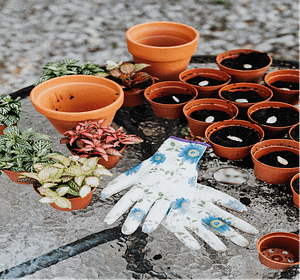 Variety Of Shapes And Sizes of Clay pots