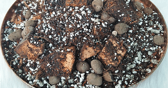growing media for herbs vermiculite