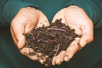 Soil with microorganisms