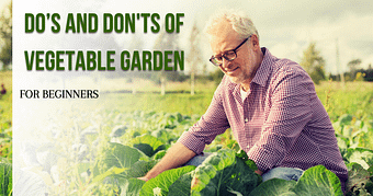 Do’s and Don'ts of Vegetable Garden