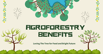 agroforestry benefits