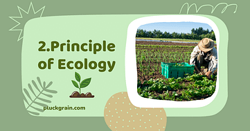principles of organic farming