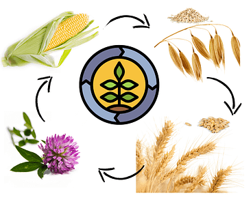 Crop rotation biodynamic farming