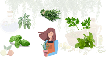 medicinal plants indoors