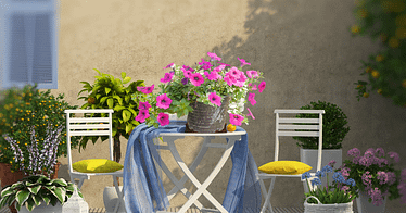 best sunny balcony plants