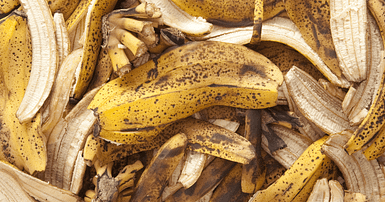 Banana peel DIY fertilizers