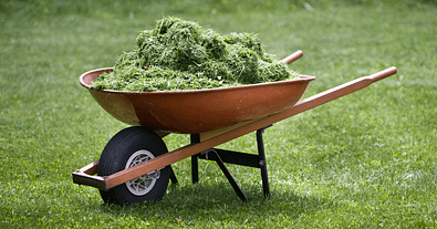grass clipping DIY fertilizers