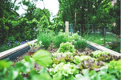 Mess-Free Way To Style Your Vegetable Garden