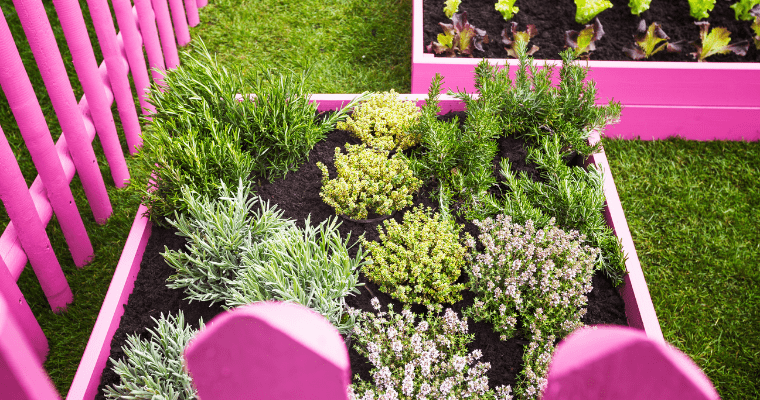 A Guide To Herb Garden Planner