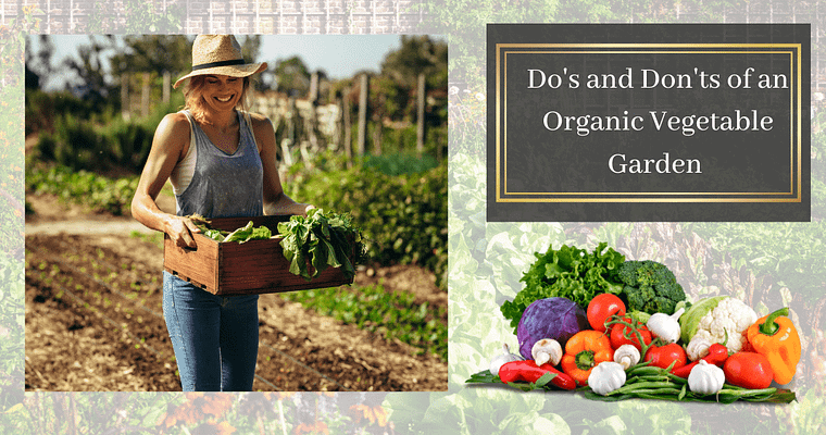7 Do’s and Don’ts of an Organic Vegetable Garden