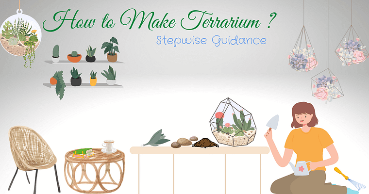 How to Make Terrarium ?