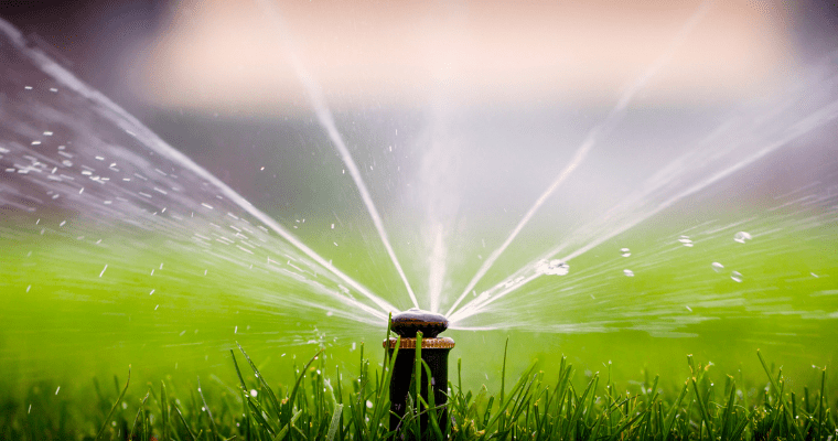 Smart Tips For Watering Lawn
