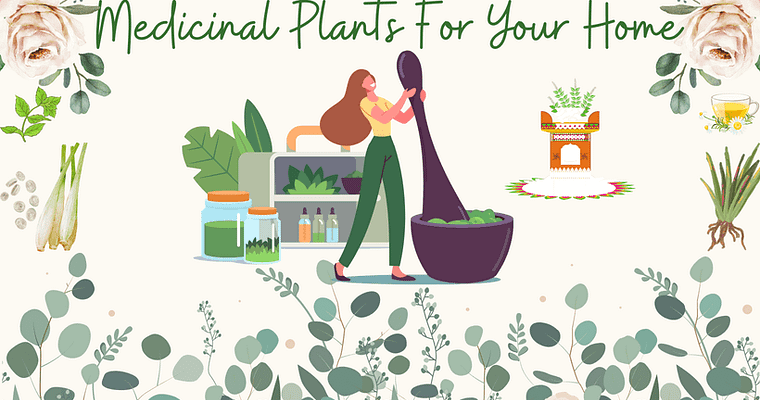 5  Useful Medicinal Plants For Every Home Garden
