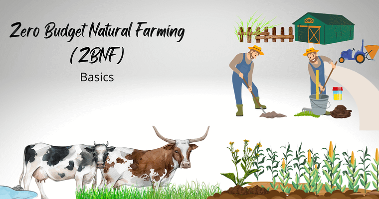 What is Zero Budget Natural Farming?