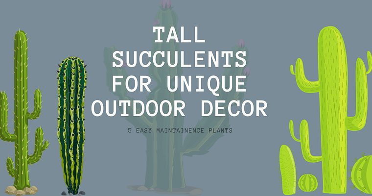 7 Tall Succulents for Unique Outdoor Decor