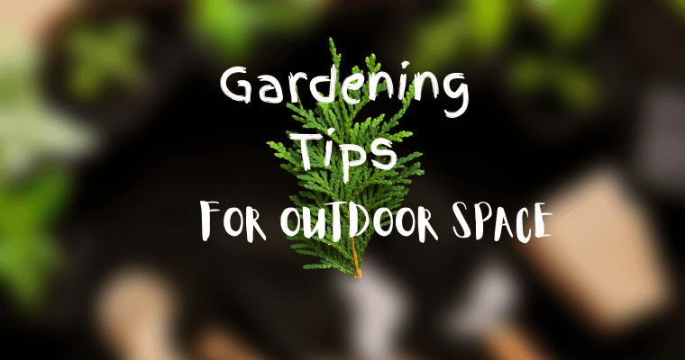Learn small garden tips to get the most out of outdoor space