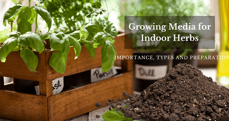 Growing Media for Indoor Herbs-Importance, Types and Preparation