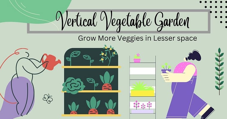 Vertical vegetable garden- Grow More Veggies in Lesser space