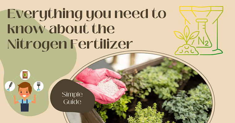 Everything you need to know about the most important Fertilizer: Nitrogen Fertilizer