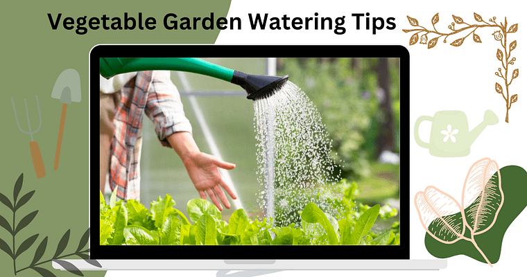 7 Mistakes to Avoid While Watering Vegetable Garden