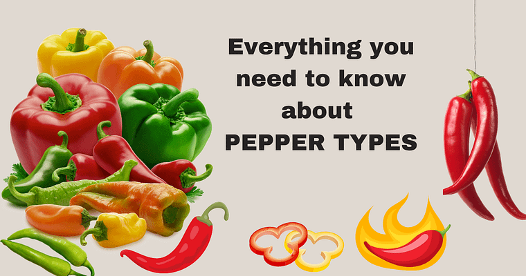 Everything you need to know about pepper types, colours and taste