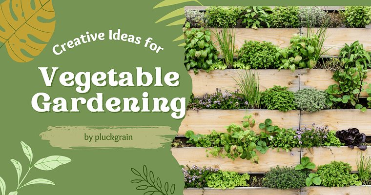 Vertical Garden Ideas for a Creative Garden Lover