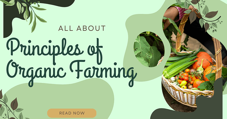 4 Principles of Organic Farming